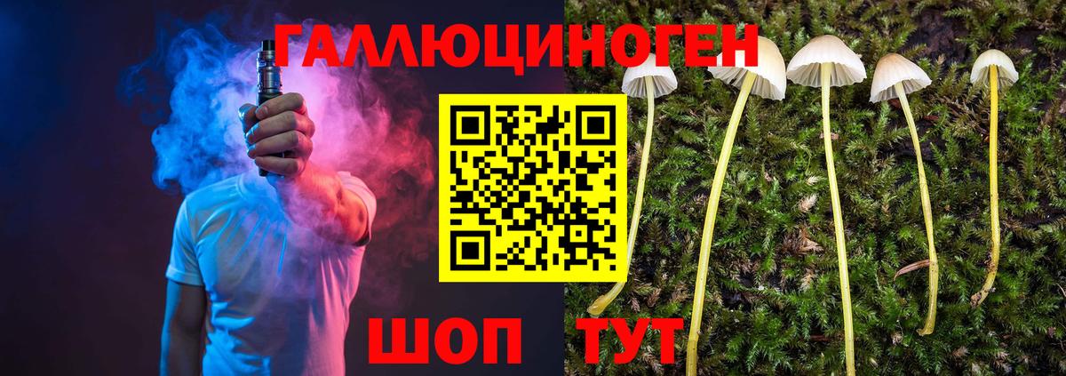 Псилоцибиновые грибы Psilocybine cubensis Казань