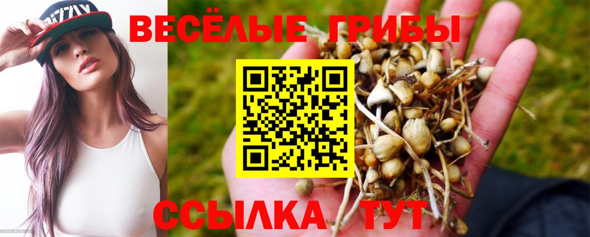 Казань  Экстази  Вход с VPN  ГАШИШ  COCAIN  A-PVP СК кристаллы  Меф МЯУ МЯУ кристаллы  Лсд 25 